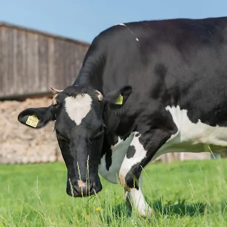 Huxfeld-hof - Wörpe *